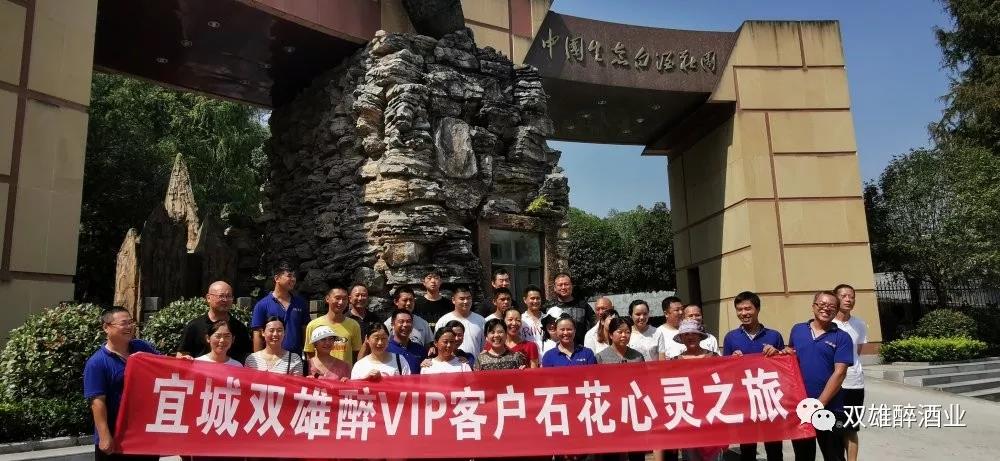 活力四射，宜城客戶的心靈之旅