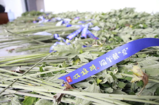 贈(zèng)你一束“艾”，端午祈安康，雙雄醉端午獻(xiàn)“愛”