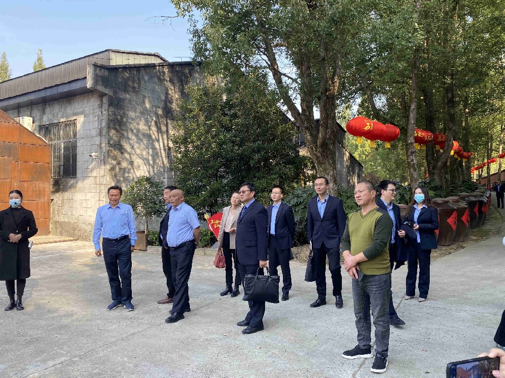 國(guó)字頭企業(yè)來(lái)公司互訪交流